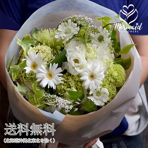    ފ H ފ݉ ԑ   @  t[  tH[l m H   i`  r Ԃ ~ ~ ~ V~ ފ