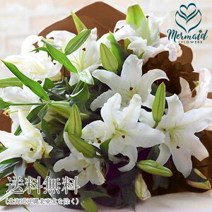 生花 カサブランカ 誕生日の人気商品 通販 価格比較 価格 Com 生花 カサブランカ 誕生日の人気商品 通販 価格比較 価格 Com