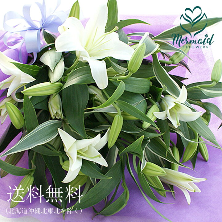 楽天市場 お供え お悔み 彼岸 花 豪華 白いユリとグリーンの花束25輪 送料無料 お供え お盆 盆花 初盆 お彼岸お悔み 送別 退職 プリティ マーメイド