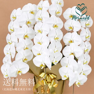 Ӓ JXj  3{ 33ֈȏ R`E Vzj y h]j ij ACj җ Ď   ËH yYnzysiz