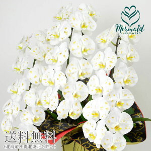 Ӓ JXj j j   3{ 33ֈȏ R`E yYnz Vzj y h]j ij ACj җ Ď   ËH