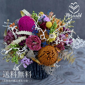 hCt[ AWg  uARo[mvAW Cht[ C{[ lJt ̂܂܏ Ԋt JXj {^jJ IV av[