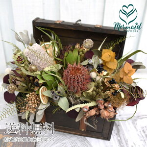 hCt[AW BOX X܃fBXvC uoobT̔v{^jJ  t[ v[g fBXvC av[g Mtg JXj  \ JtF Tv