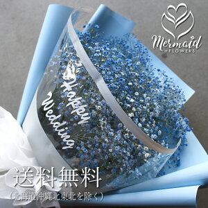 ݑ JX~\E ԑ(X[p[BIGTCY) u[  a  EGfBO  j v[g Mtg  ԑ  hCt[ɂ  t[ ސEj LO 