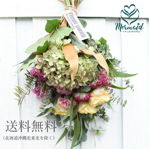 u͂vÂށBhCt[ւ̕ωyމԑ |v XbO {^j[NV[Y  botanique {^j[Nav[g  LO  j