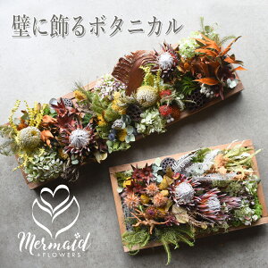 uhC{^jJEH[v AW hCt[ JX JXj JƏj I[vj j 蕨 rWlX \  T eXg Xܑ Vzj JXj