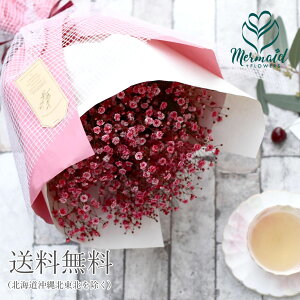 ݑ JX~\E ԑ  a vw̓  EGfBO  j v[g j  ԑ Ԃݑ `F[ bh ԃhCt[ɂ  ꂳ 