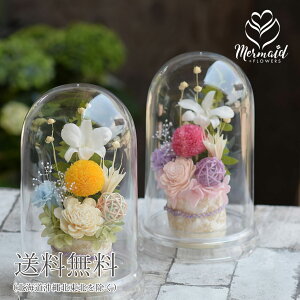  vU[uht[ ͂Ȃd̉   r Ԃ ~ ~ ~ V~ ފ H ފ݉ vU[uht[ u甿v  Iׂ2^Cv  