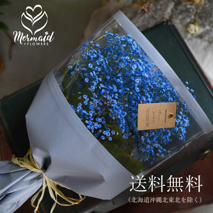 楽天市場 全品ポイント5倍 1 10 00 00 1 10 23 59迄 かすみ草 カスミソウ 花束 大きいサイズ 青いかすみ草 青 ブルー 花 誕生日 バレンタイン ひな祭り お返し ホワイトデー 結婚 送別 祝い プレゼント 結婚祝い 花束 生花 ドライフラワーにも 送料無料 退職祝い