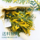 【 ミモザ 生花 花束 ブーケ スワッグ】生花からドライを楽しむミモザスワッグ『ミモザ・スワッグ』フレッシュな状態で発送。玄関 誕生日 卒業祝い お返し ドライフラワー リース スワッグ インテリア 春 実物など