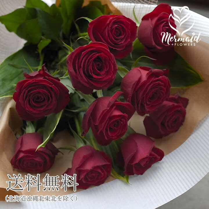 楽天市場 赤バラ10本の花束 誕生日 結婚 ウエディング 送別 祝い プレゼント 女性 送別 歓迎 退職祝い 母 祝い 送料無料 誕生日プレゼント ギフト 結婚記念日 結婚 夏 サマーギフト お中元 クール便 冷蔵便 クール配送 プリティ マーメイド