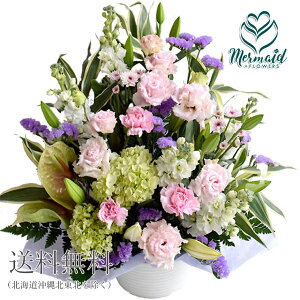  w̉ԑxO[hAbv   12͂  t[AW   @   