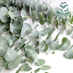 } [J ( ␢E Oj[JȂ 5{ ؉   ԍ G_m