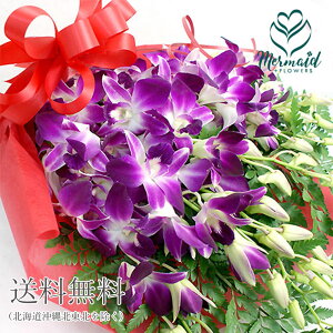 ؂₩m ft@ԑ ft@ƃO[̉ԑ  Mtg j  av[g }t  ꂳ Mtg ꂳ ꂳ LO ꂳ  j