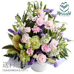     r Ԃ ~ ~ ~ V~ ފ݉ ފ S ؂₩AW wԘ@x J G߂̂  AW  