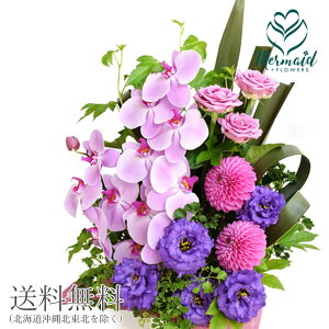 v[g  Ӓƃ_A̗킵AW w와 kiox   OK pMtg j av[g vw̓ ꂳ Mtg LO  j  ސE  