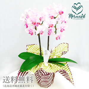   e[uӒ C~ dl 2{  yYnzysiz r Ԃ ~ ~ ~ V~ ފ     O