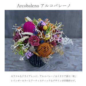 玄関花誕生日結婚祝いお礼歓送迎ドライフラワー「アルコバレーノ」アレンジワイルドフラワーレインボー