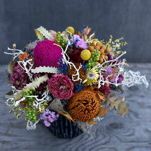 hCt[ AWg  uARo[mvAW Cht[ C{[ lJt ̂܂܏ Ԋt JXj {^jJ IV av[