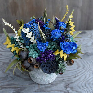 hCt[ AWg  uuEEubcvhCAW u[ O[ p[v oNVA o  ̂܂܏ Ԋt JXj CeA {^j