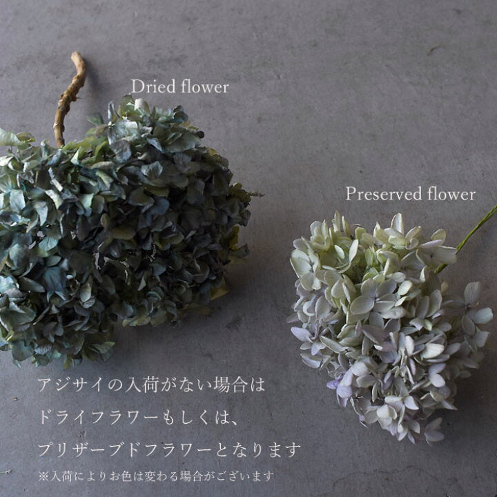 楽天市場 枯れる を たのしむ ドライフラワーへ変化を楽しむ花束 ポプリ スワッグ ボタニークシリーズ 生花 Botanique ボタニーク お花のブーケ 送料無料 誕生日プレゼント ギフト 結婚記念日 結婚 祝い ホワイトデー プリティ マーメイド