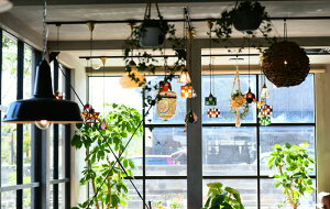 アレンジフレッシュ&ドライフラワーディスプレイドライフラワー店舗開店祝い送料無料ボタニカル花フラワープレゼント