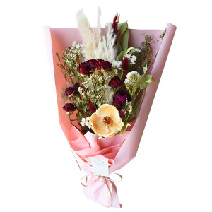 hCt[ u[P ԑ XbO   KN SNSf i` CeA IV ꂳ  sN u[ CG[ Jt MIX av[g vw̓ NX}