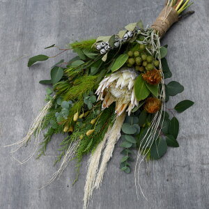   a vw̓ ꂳ  EGfBO  j v[g Mtg LO  } hCt[ XbO w܂Tt@XbOx  yVL