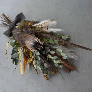  hCt[ ԑ u[P XbO utFUgvK^̏ے LW̉H JtF JXj i` CeA {^jJ IV j av[g