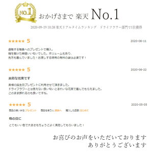 ランキング