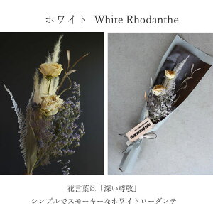 玄関花ギフトプレゼント2020お礼歓送迎ドライフラワー「ローダンテ」父の日