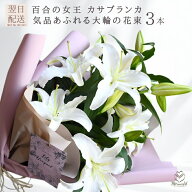【カサブランカ 花束】大輪百合3本（12〜15輪）高級白百合ギフト敬老の日 誕生日 母 誕生日プレゼント 送…