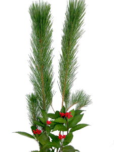 正月 正月飾り お正月におすすめ 枝若松と千両のセット 門松 販売