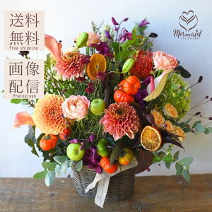 a }t  ꂳ  EGfBO  j v[g LO JXj  I[_[Ch  ސEj t[AW  Mtg j  wI[^WG