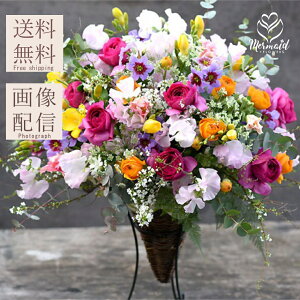  t[ Mtg AWg @l a  EGfBO  j  ސE v[g Mtg ʉ ސEj LO ꂳ j  JXj  a