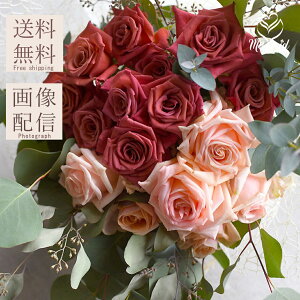 oƃO[̉ԑ A[XJ[ jAXJ[  LOj vw̓ ꂳ j Mtg j av[gj vw̓ ꂳ Mtg 