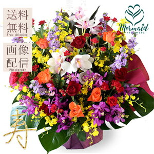  a }t  ꂳ  EGfBO  j v[g v[g JXj  NLO I[_[Ch v[g ʉ ސEjMtg j   AW 