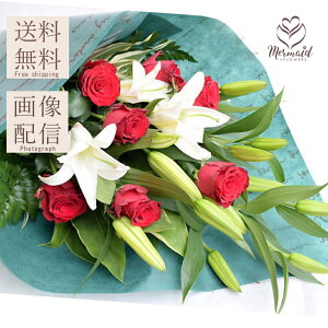  t[ Mtg a  EGfBO  j v[g Sƃỏԑ j   ސEj t[ N ސE Mtg j  ꂳ LO j 