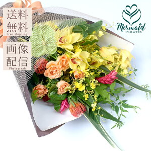 a }t  ԑ  uPremium BouquetvS[WX v~A Mtg a ꂳ  EGfBO  j  ސE v[g Mtg  ʉ av[g