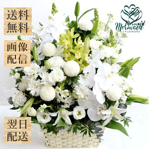     r Ԃ ~ ~ ~ V~ ފ݉ S w×x  G߂̂  ފ݃AW Ӓ VrW[ 