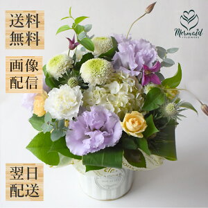   AW  ފ  uAiX^Vv m    @ l  @v   [  r Ԃ ~ ~ ~ V~ ފ D