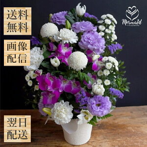    r Ԃ ~ ~ ~ V~ ފ݉ t[  AWg S uԂLTCYv   e    O @v 