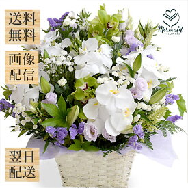 お供え お供え お悔み お供え 喪中見舞い お返し お盆 盆花 初盆 新盆 お彼岸花 胡蝶蘭・百合・シンビジューム アレンジ 常盤『ときわ』 季節のお花 お供え お彼岸 アレンジ 胡蝶蘭 シンビジューム お供え お盆 盆花 初盆