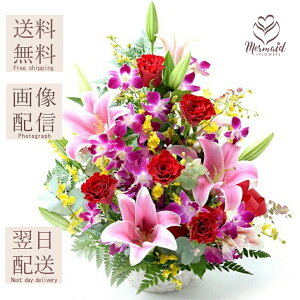  t[ Mtg a vw̓  EGfBO  j v[g Mtg AWg  N ސE j   o  ސE \ JXj LO  