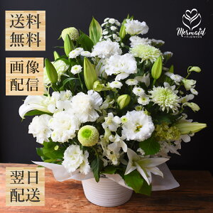    SƋG߂̂Ԃ̔AW ފ @  t[  AW    m  r Ԃ ~ ~ ~ V~ ފ 