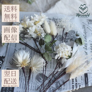 uhCt[wbhp[cvEGfBO uC_ XbO i` {^jJ IV zCg  OB  p[eB[ ꂳ  hCt[ 