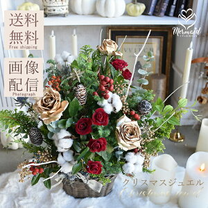 NX}X v[g Mtg c[  t[AW wNX}X WGx TvCY IV LO 