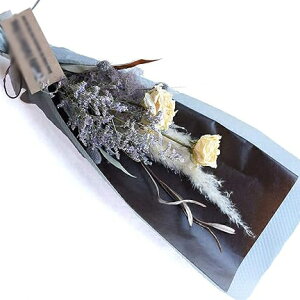  hCt[ u[P ԑ v[g  u[_evo [Y KN{v j i` CeA {^jJ IV  a NX}X }t  l