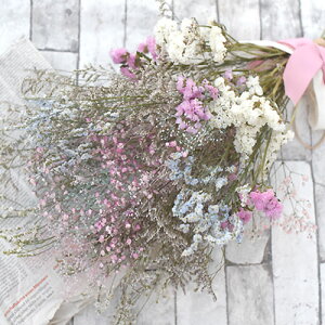 hCt[ ݑ u[P ԑ XbO  utHbgEu[PvEFfBO IV  av[g NX}X l Əj ꂳ LO j v