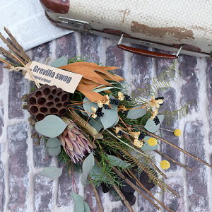 hCt[ u[P ԑ XbO  OrA[t [J Ȃ uOrAEXbOv i` CeA {^jJ IV j av[g NX